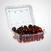 Контейнеры с крышкой и без