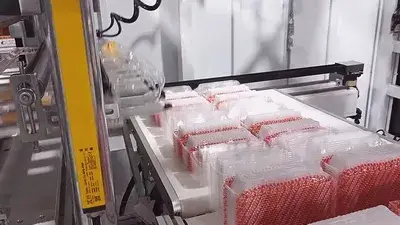 HY-70/80 Термоформовочная машина для пластиковых упаковок под кондитерские изделия