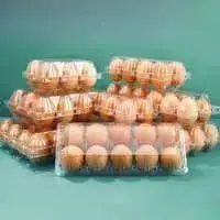 Многостанционные термоформовочные машины